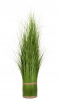 Gras gebunden - 150cm